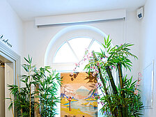 Bild von einem Fenster und Pflanzen