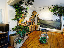 pic20_teemuseum